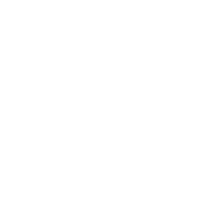 X social media